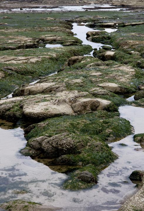Shore 1646.jpg